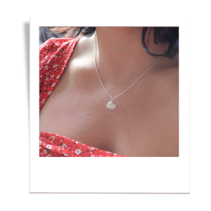 Scalloped Shell