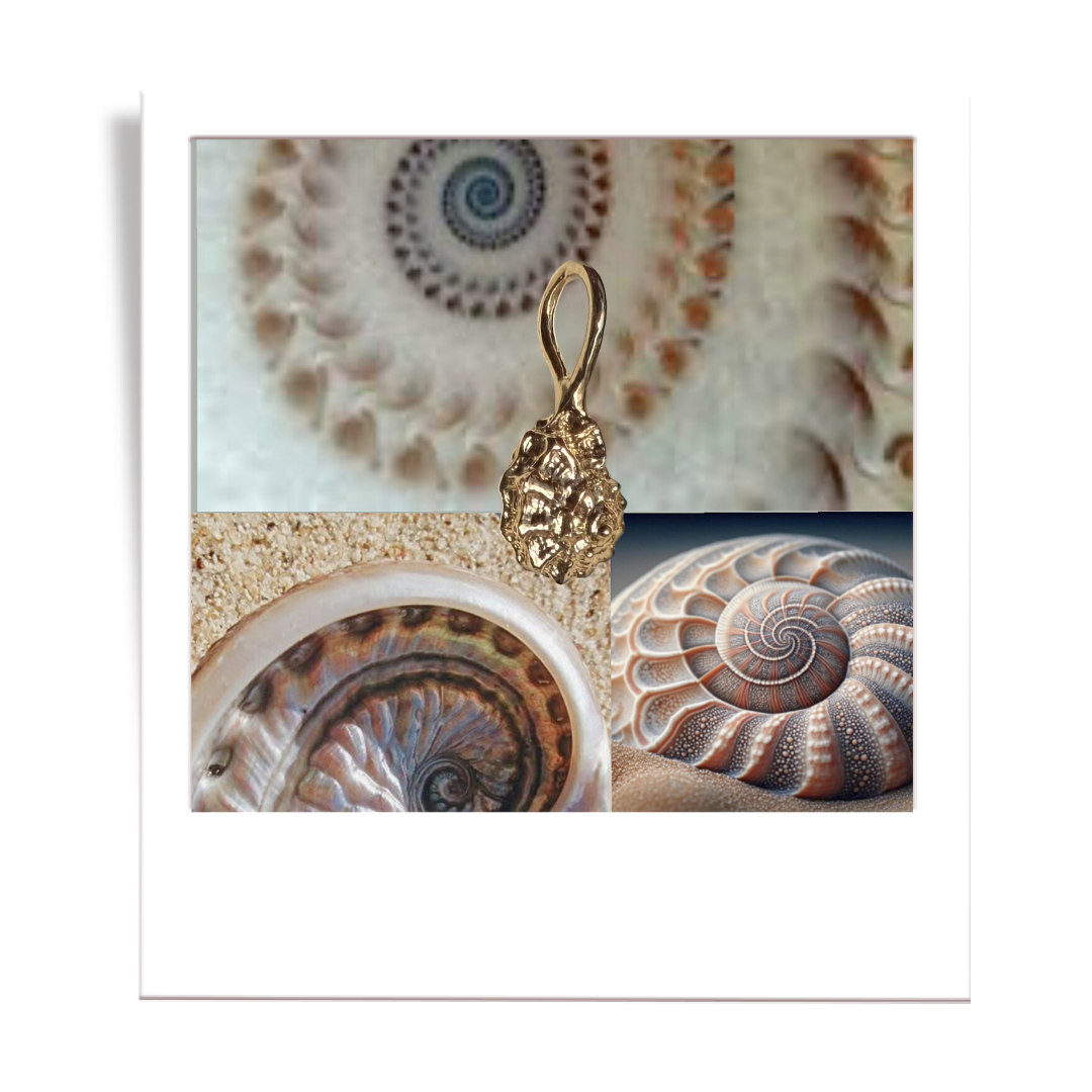 golden spiral shell