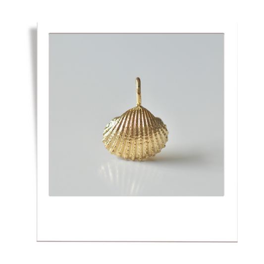 gold scalloped shell