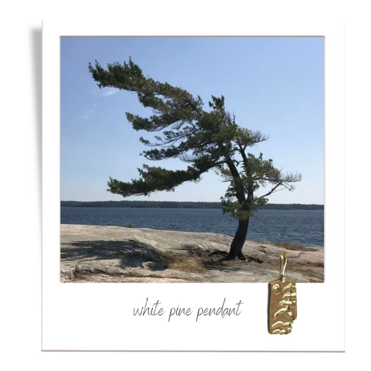white pine pendant
