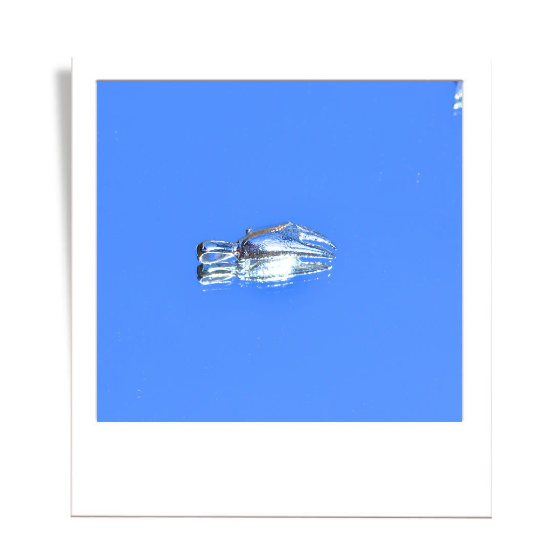 silver crab claw