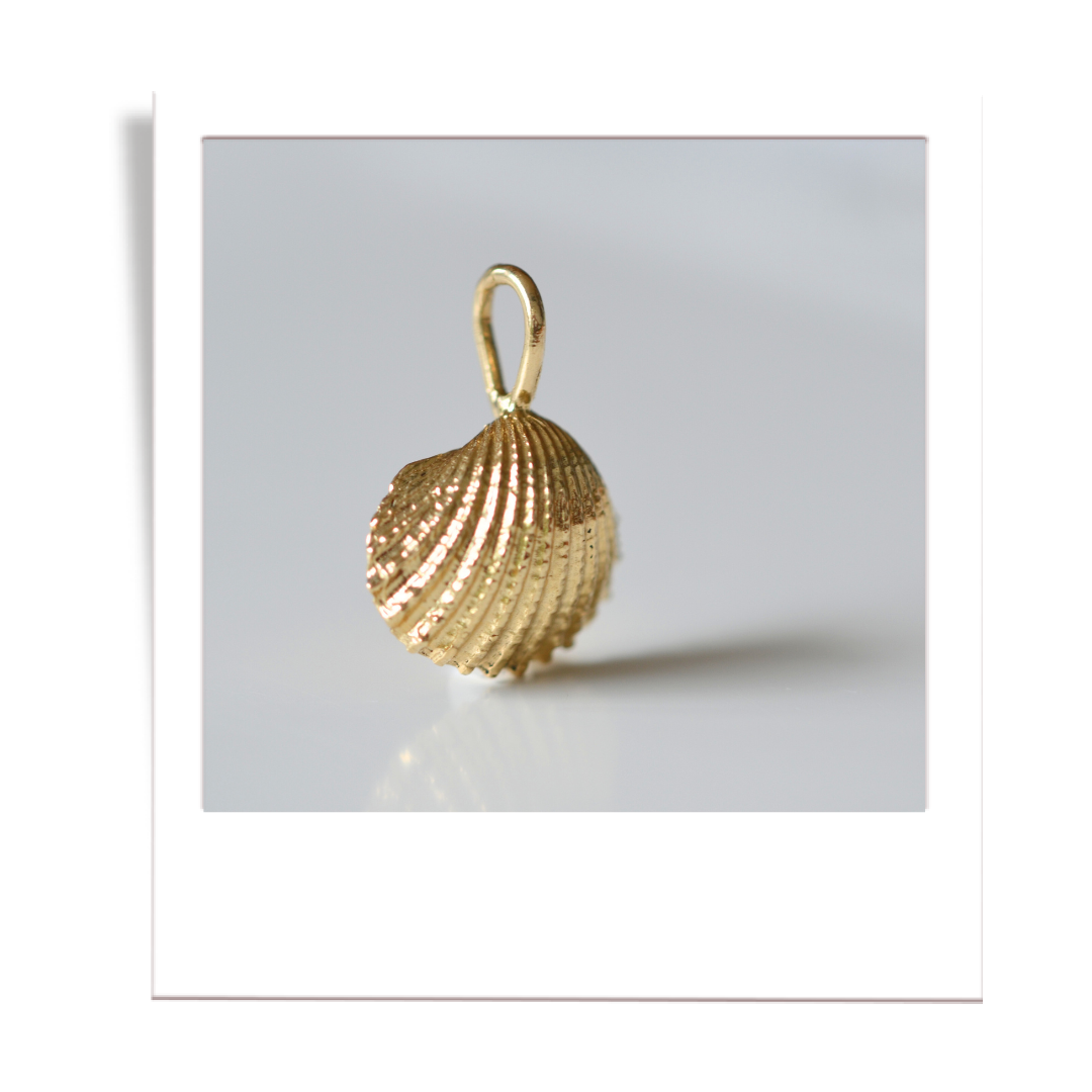 gold scalloped shell