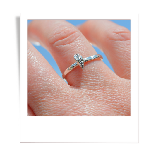 silver shell ring