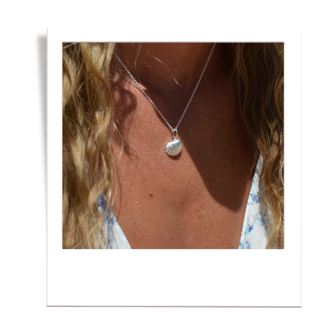 silver scalloped shell