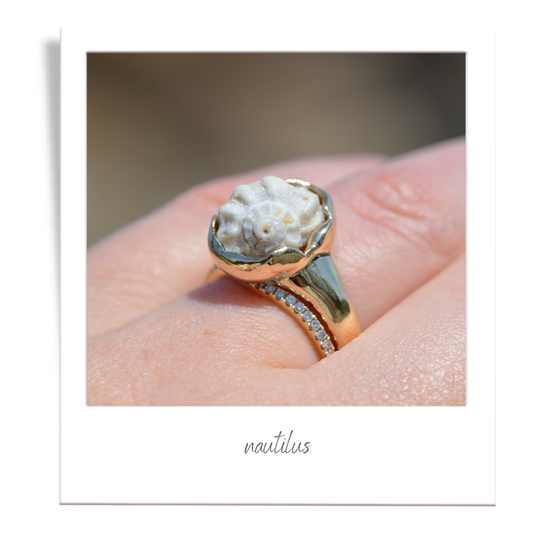 nautilus ring