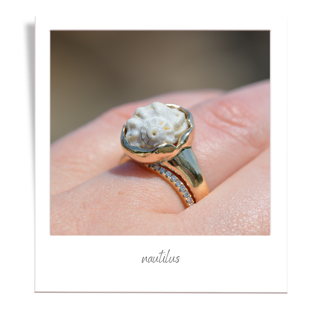 nautilus ring