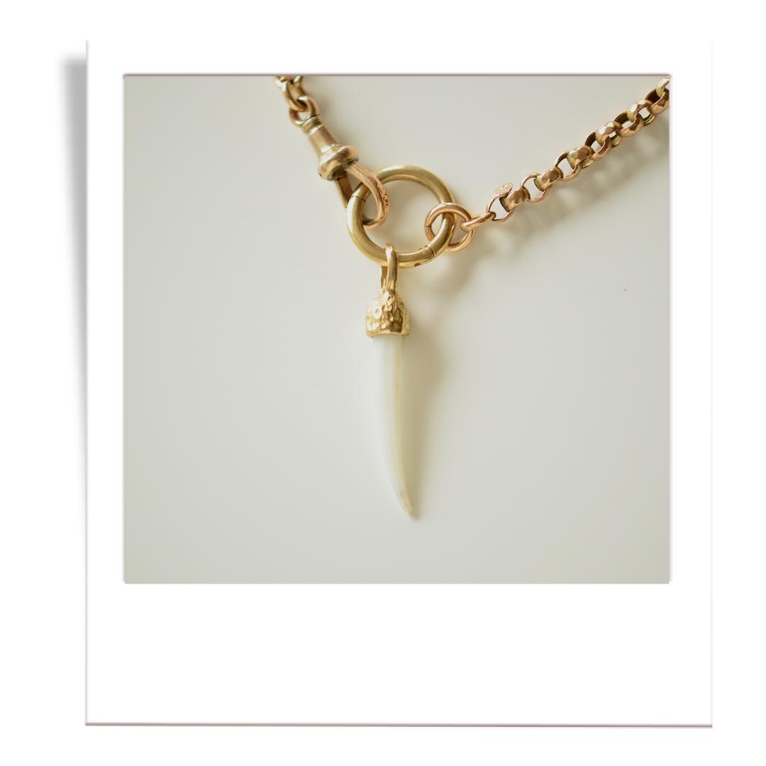 tusk shell pendant