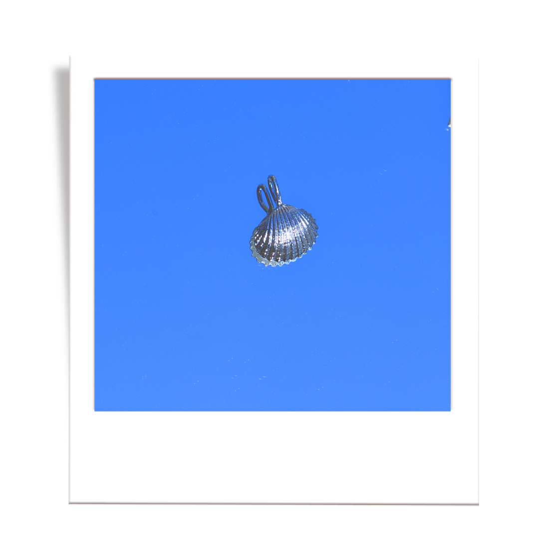 silver scalloped shell