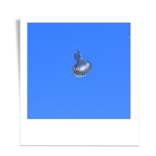 silver scalloped shell