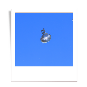 silver scalloped shell