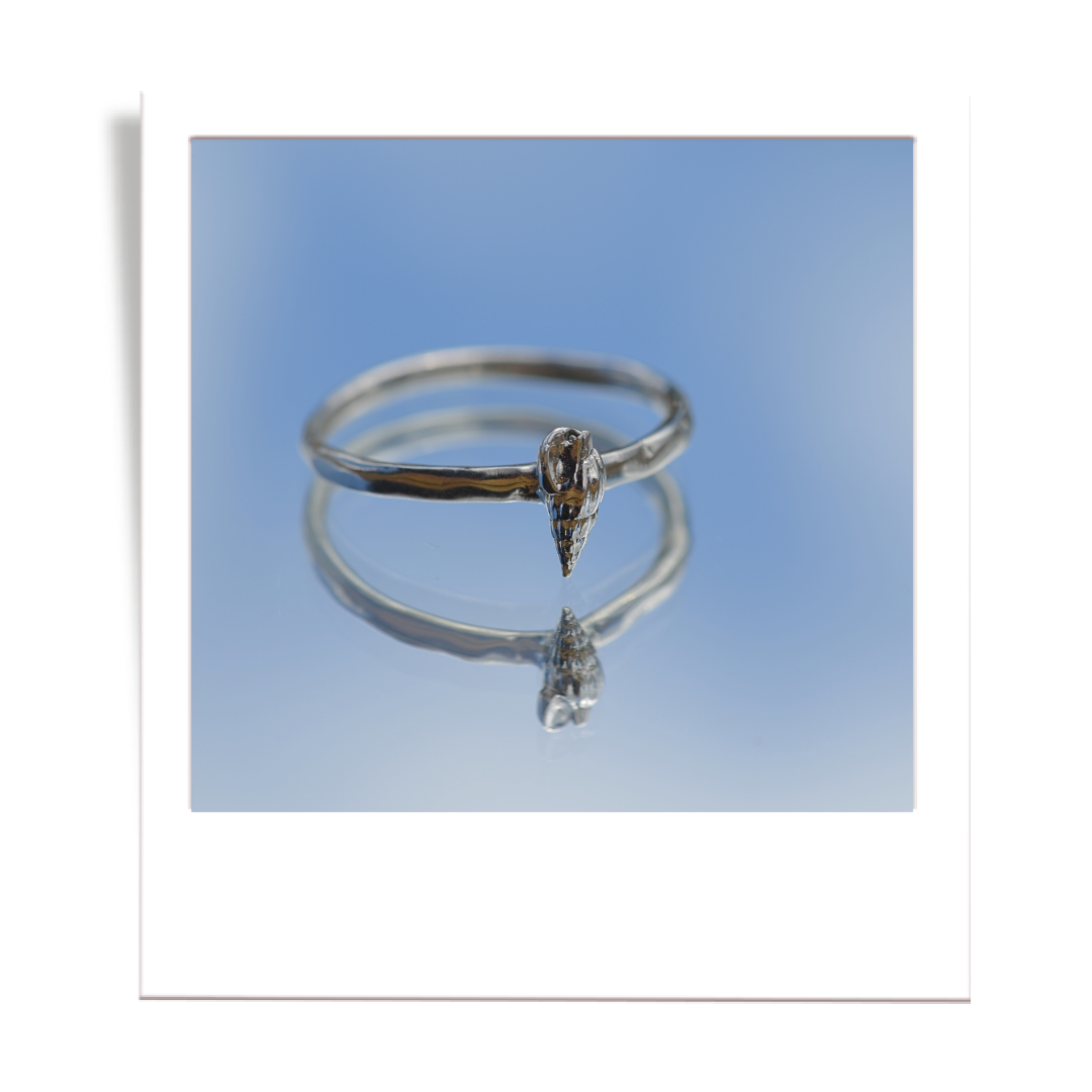 silver shell ring