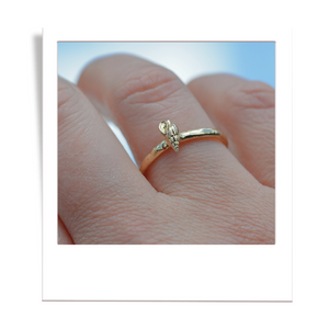 shell ring