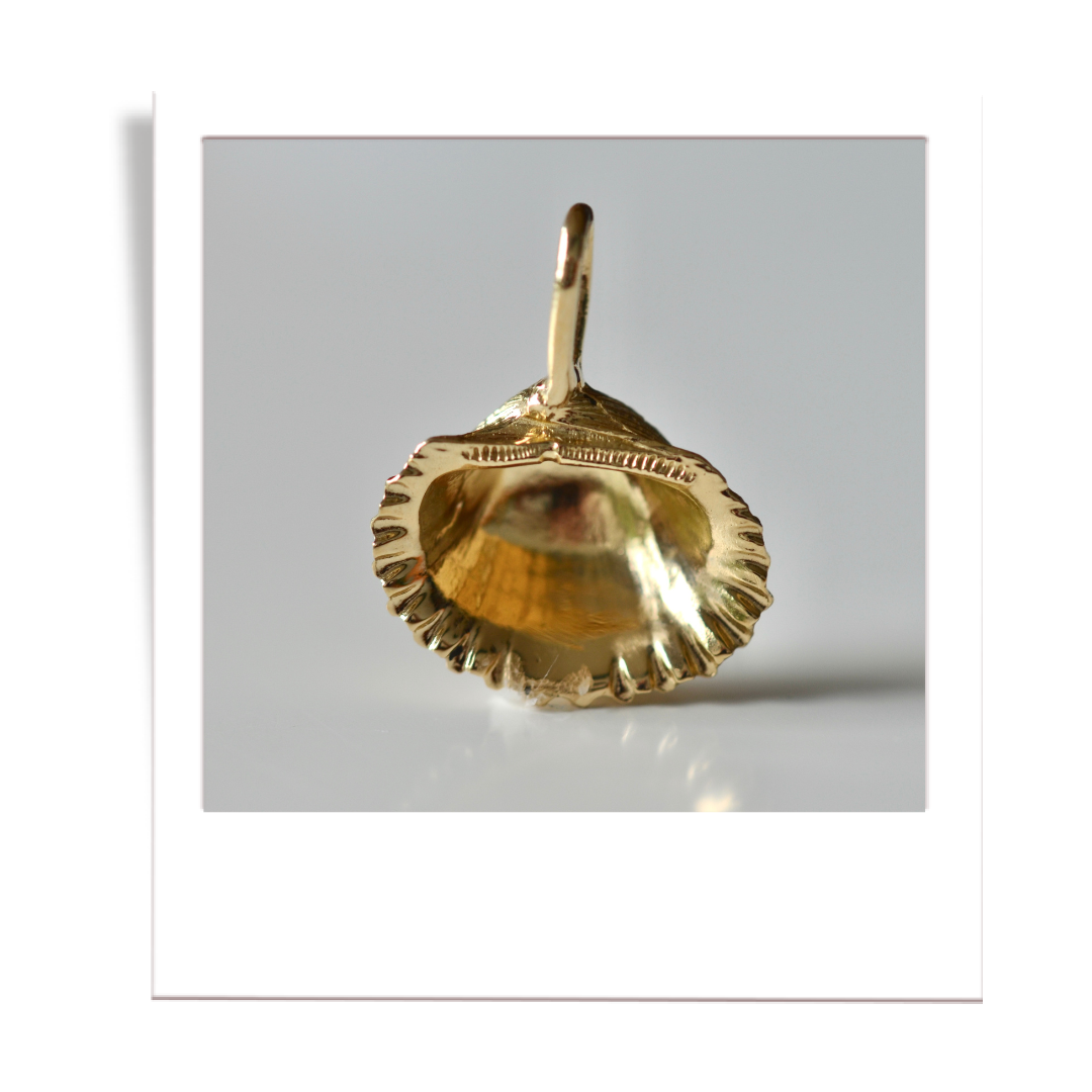 gold scalloped shell