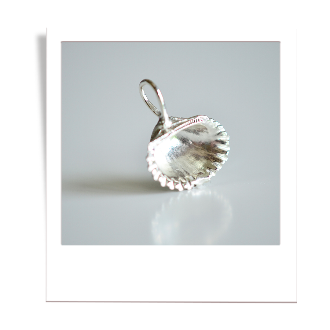 silver scalloped shell
