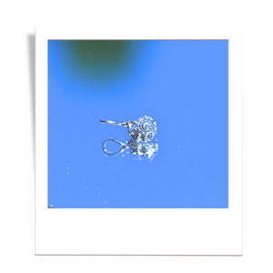silver spiral shell