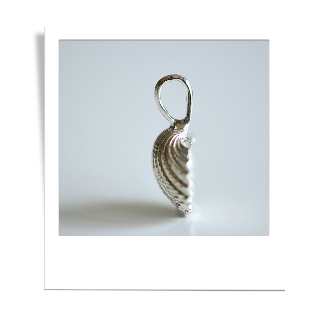 silver scalloped shell