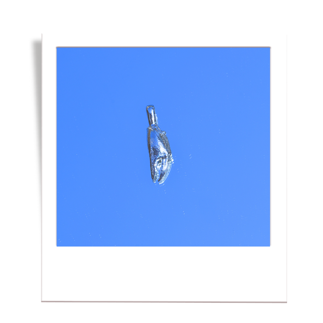 silver crab claw
